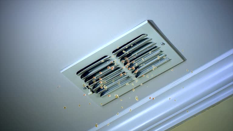 Best Commercial HVAC Duct Cleaning  in New Lenox, IL